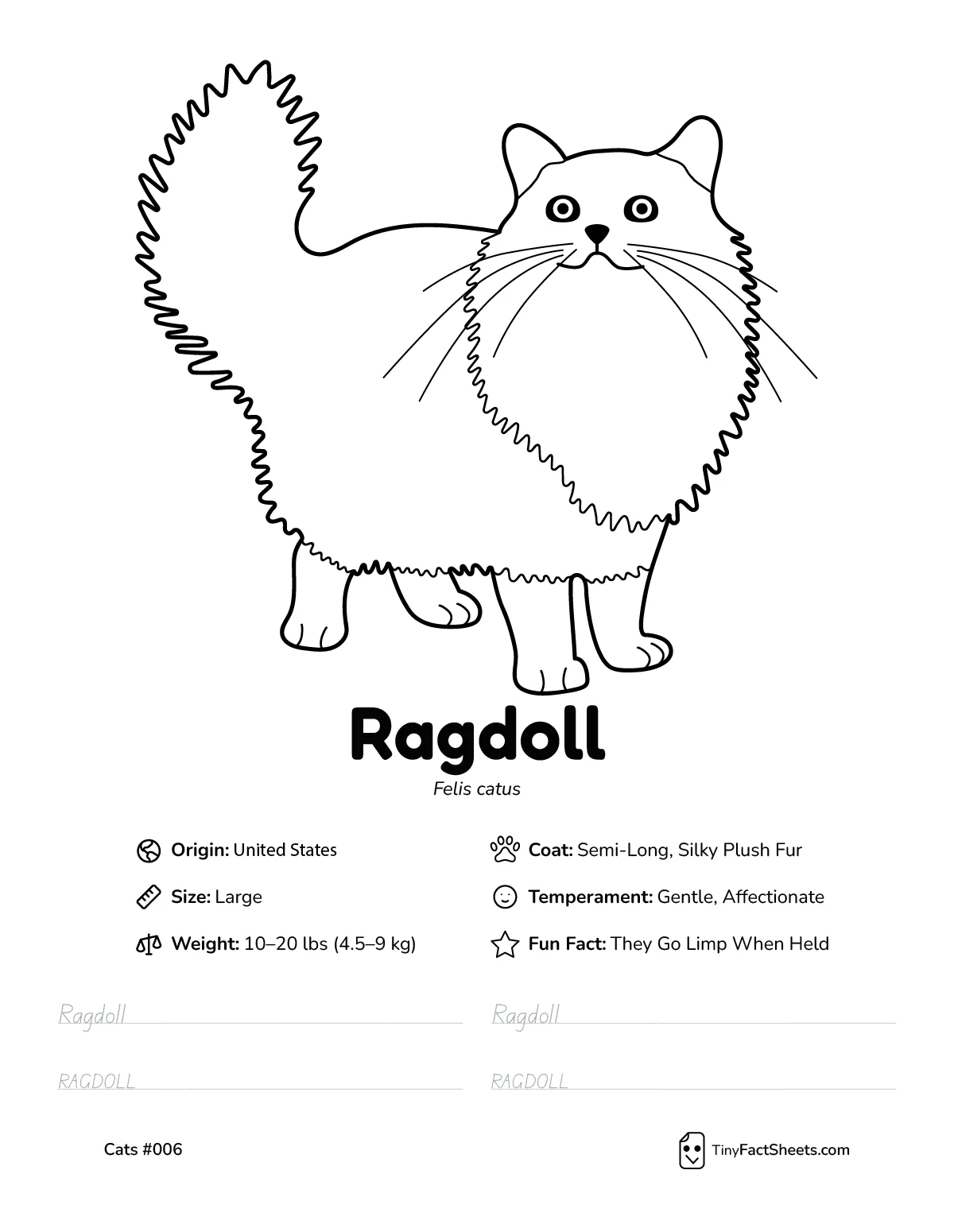 ragdoll cat breed worksheet with coloring page, facts, and handwriting practice for kids