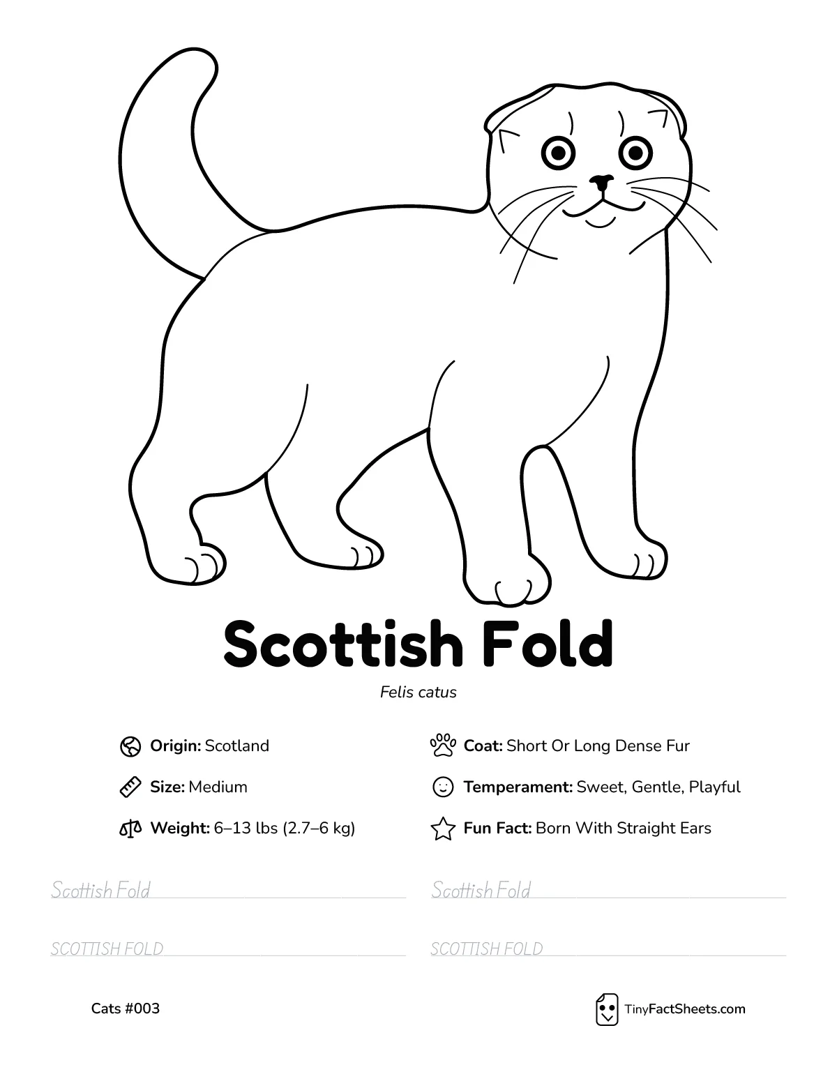 scottish fold cat breed worksheet with coloring page, facts, and handwriting practice for kids
