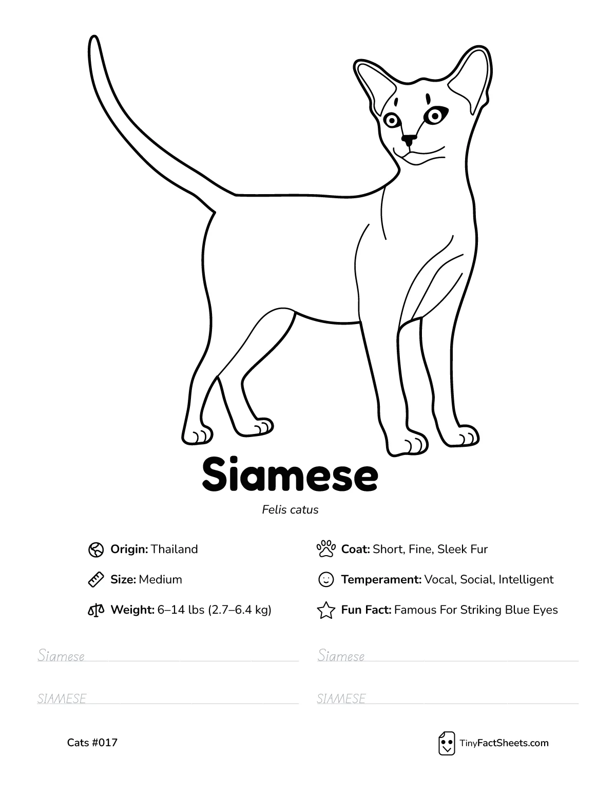 siamese cat breed worksheet with coloring page, facts, and handwriting practice for kids