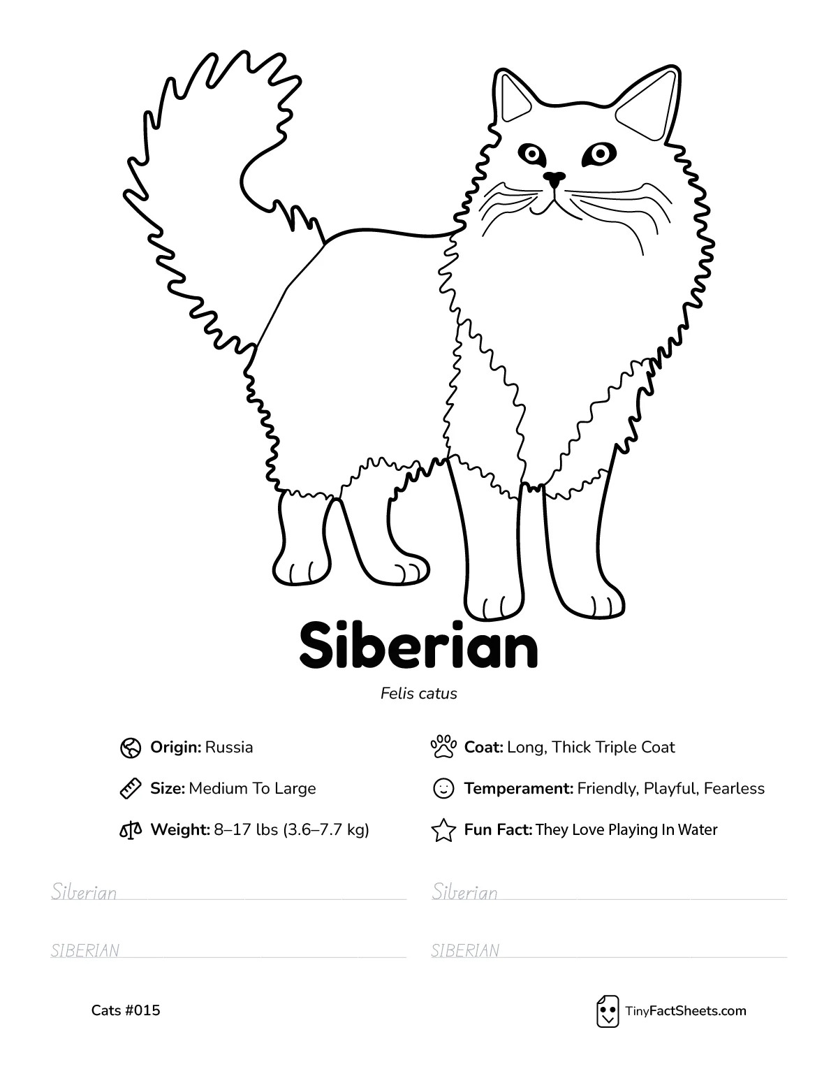 siberian cat breed worksheet with coloring page, facts, and handwriting practice for kids