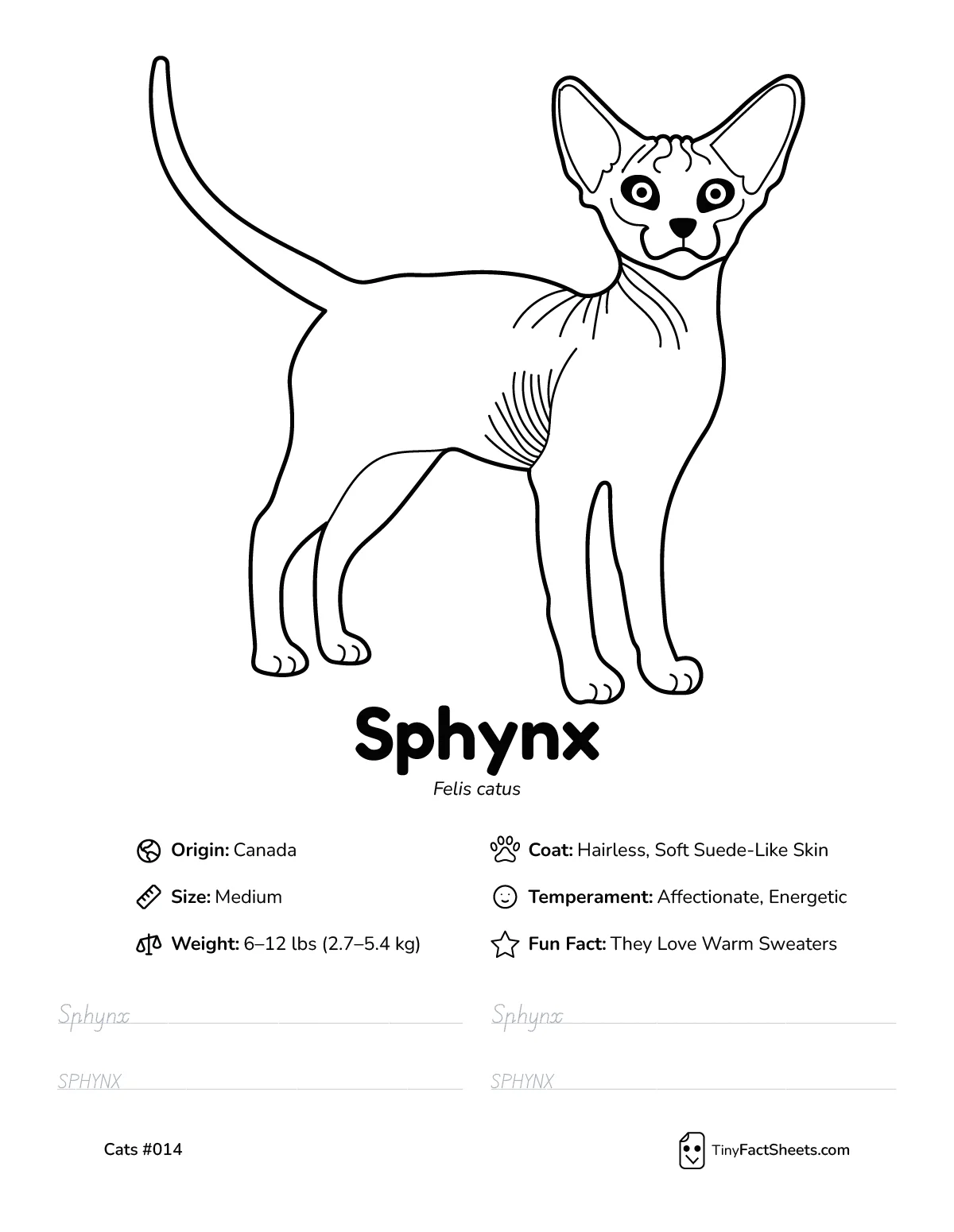 sphynx cat breed worksheet with coloring page, facts, and handwriting practice for kids