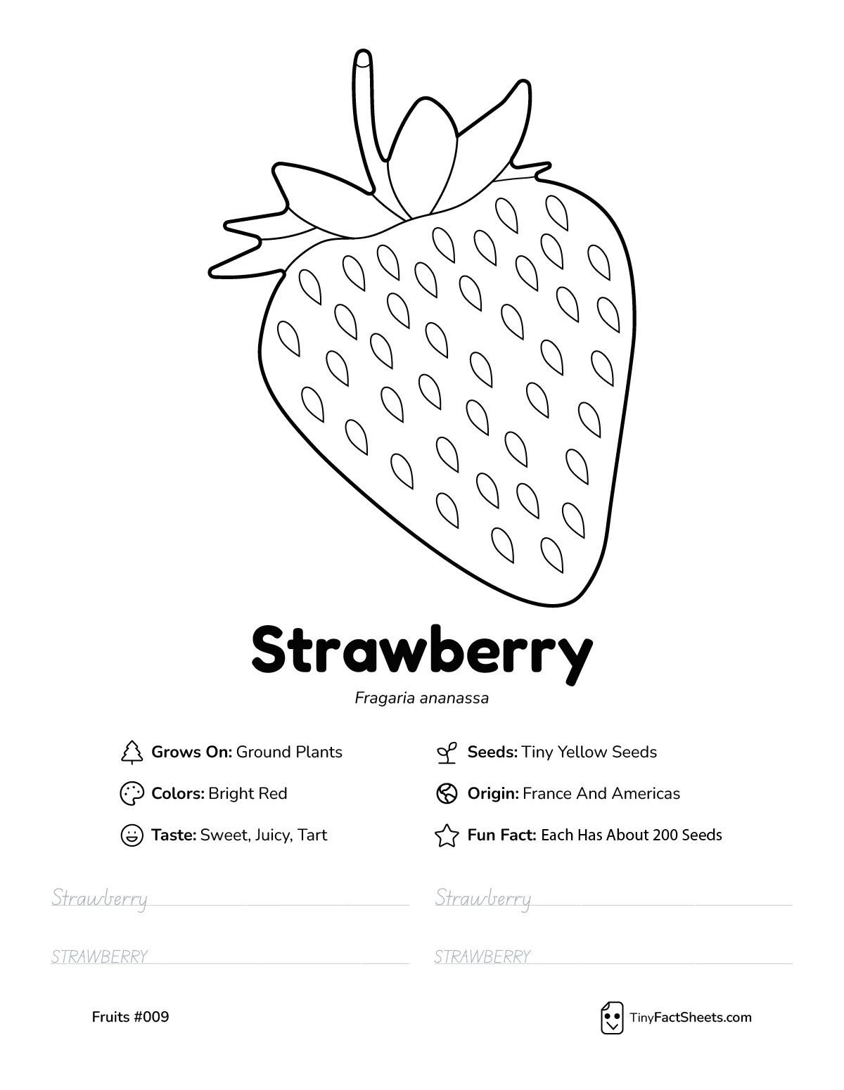 Strawberry fruit worksheet with coloring page, facts, and handwriting practice