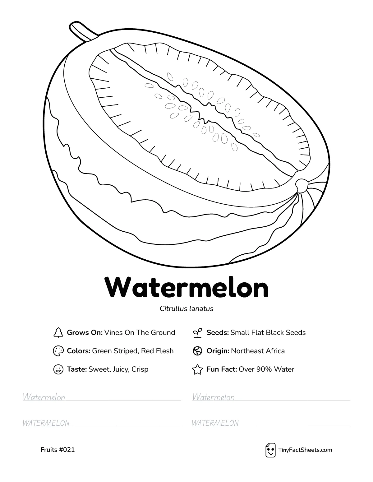 Watermelon fruit worksheet with coloring page, facts, and handwriting practice