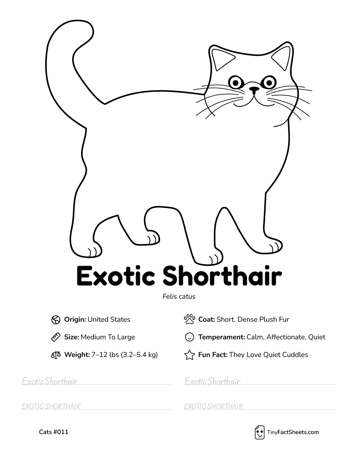 exotic shorthair cat breed worksheet with coloring page, facts, and handwriting practice for kids