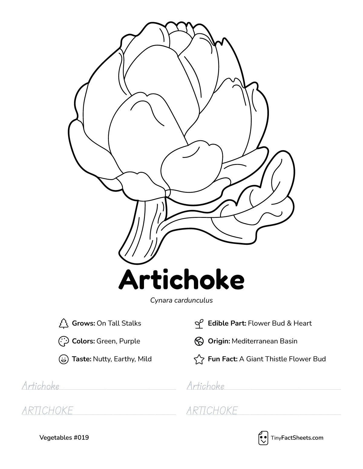 artichoke vegetable worksheet with coloring page, facts, and tracing practice