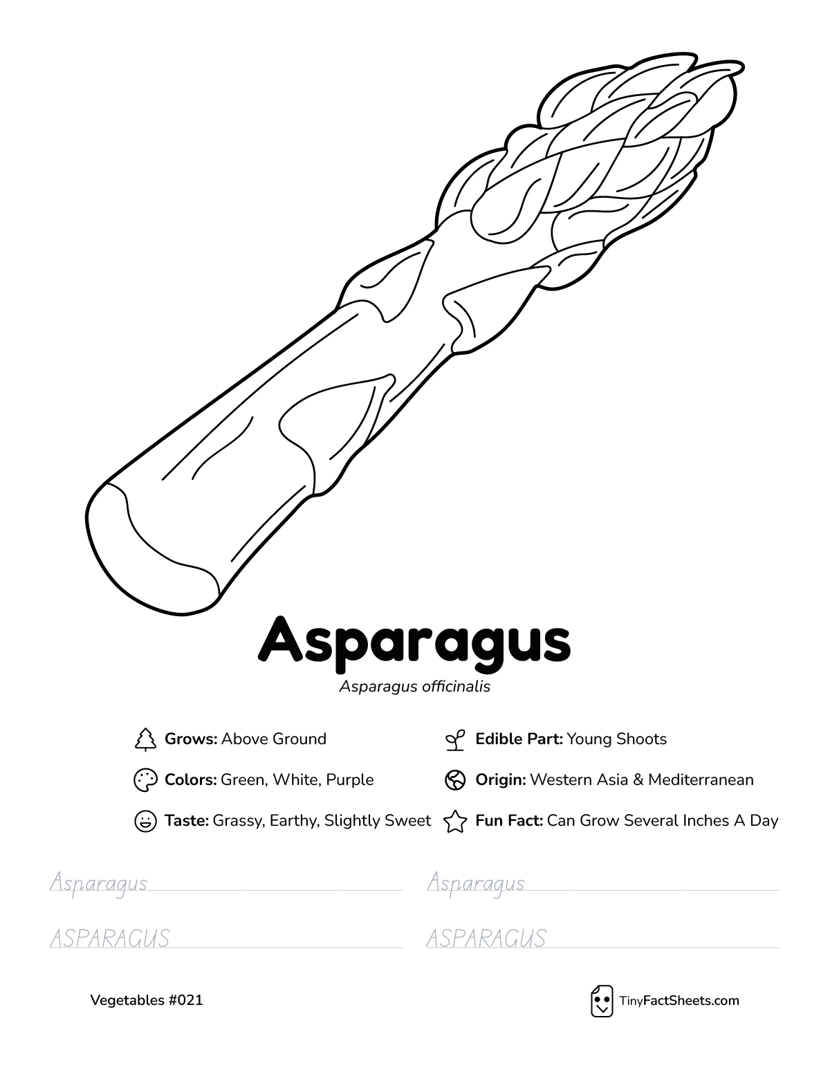 asparagus vegetable worksheet with coloring page, facts, and tracing practice
