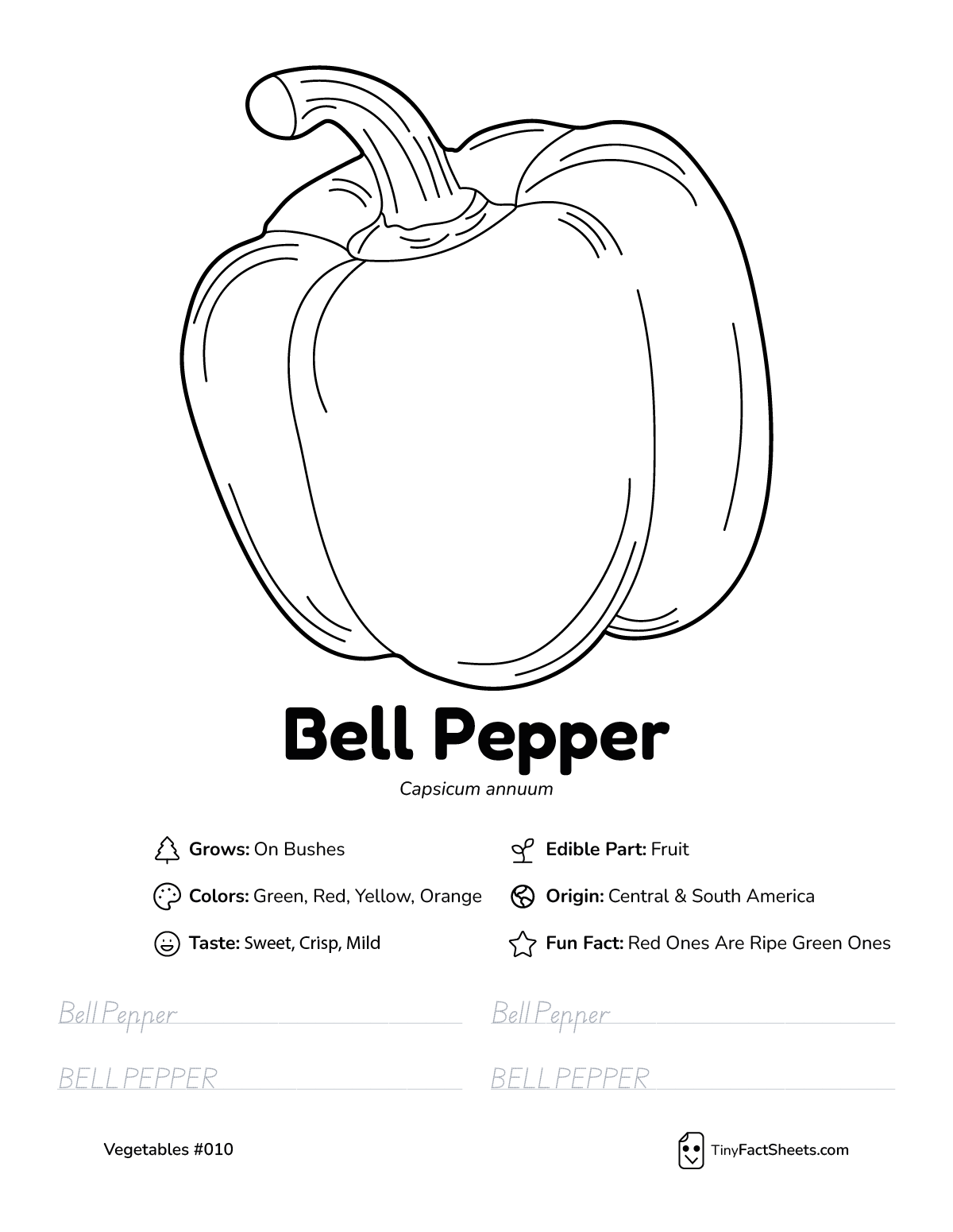 bell pepper vegetable worksheet with coloring page, facts, and tracing practice