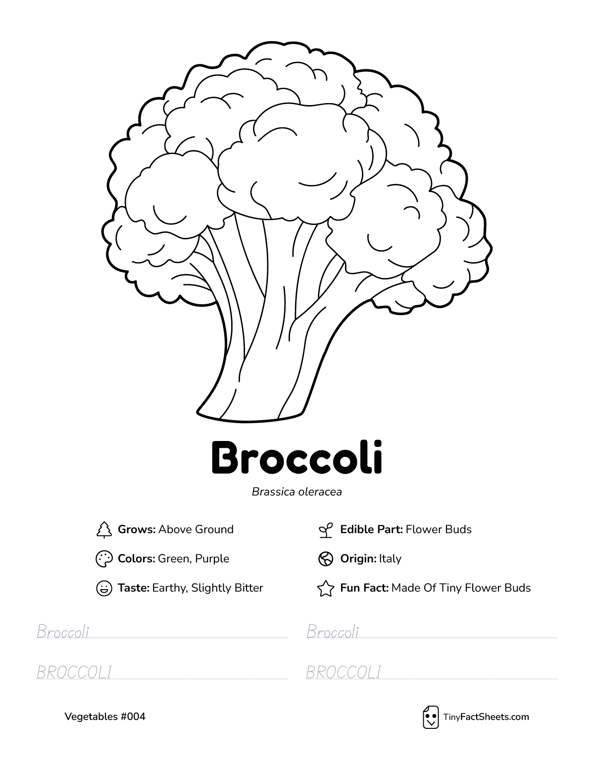 broccoli vegetable worksheet with coloring page, facts, and tracing practice