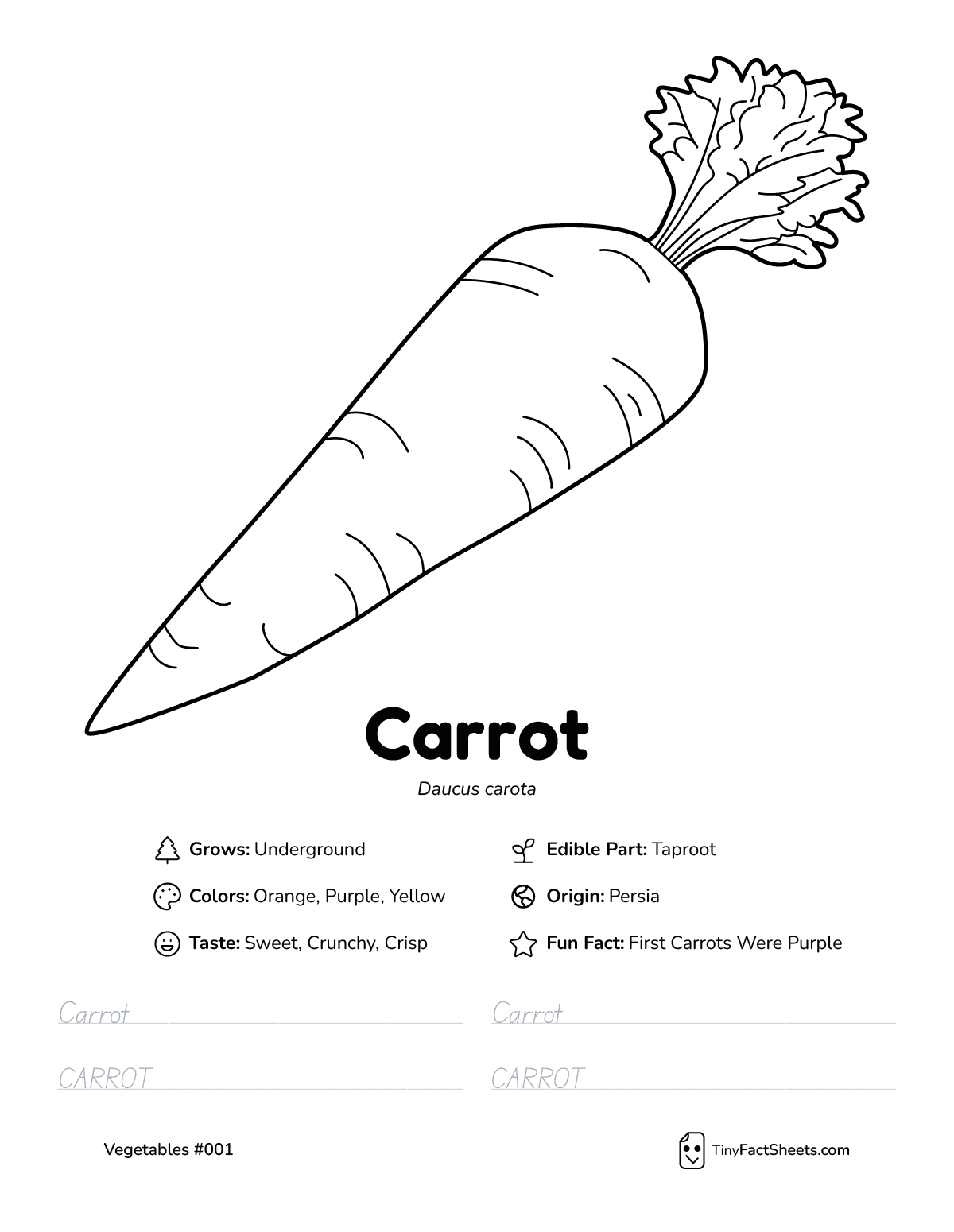 carrot vegetable worksheet with coloring page, facts, and tracing practice