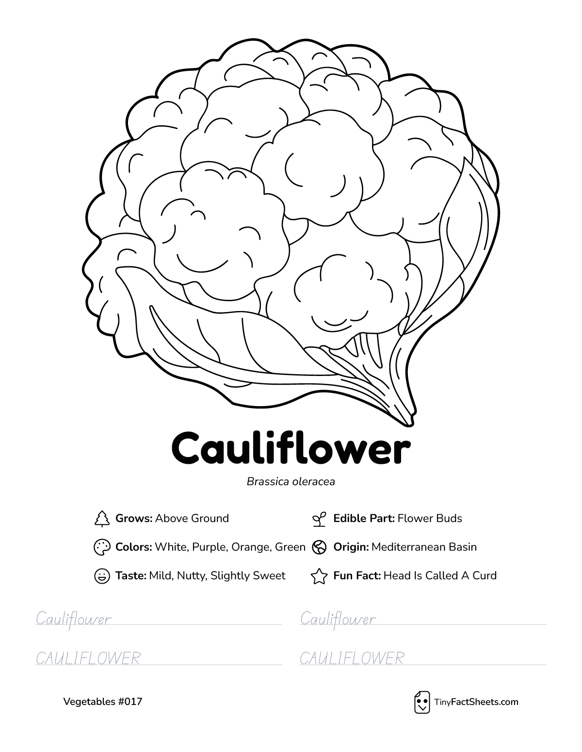 cauliflower vegetable worksheet with coloring page, facts, and tracing practice