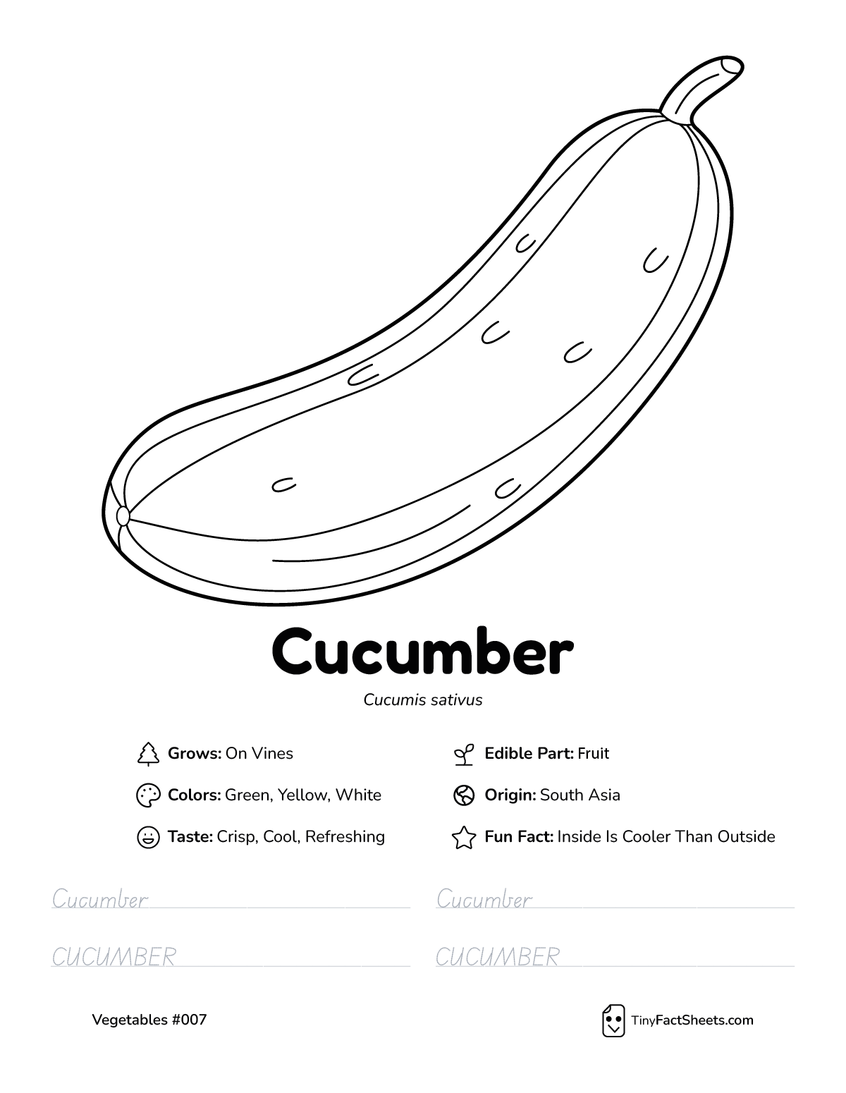 cucumber vegetable worksheet with coloring page, facts, and tracing practice
