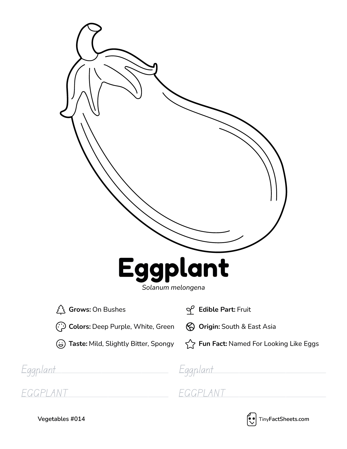 eggplant vegetable worksheet with coloring page, facts, and tracing practice