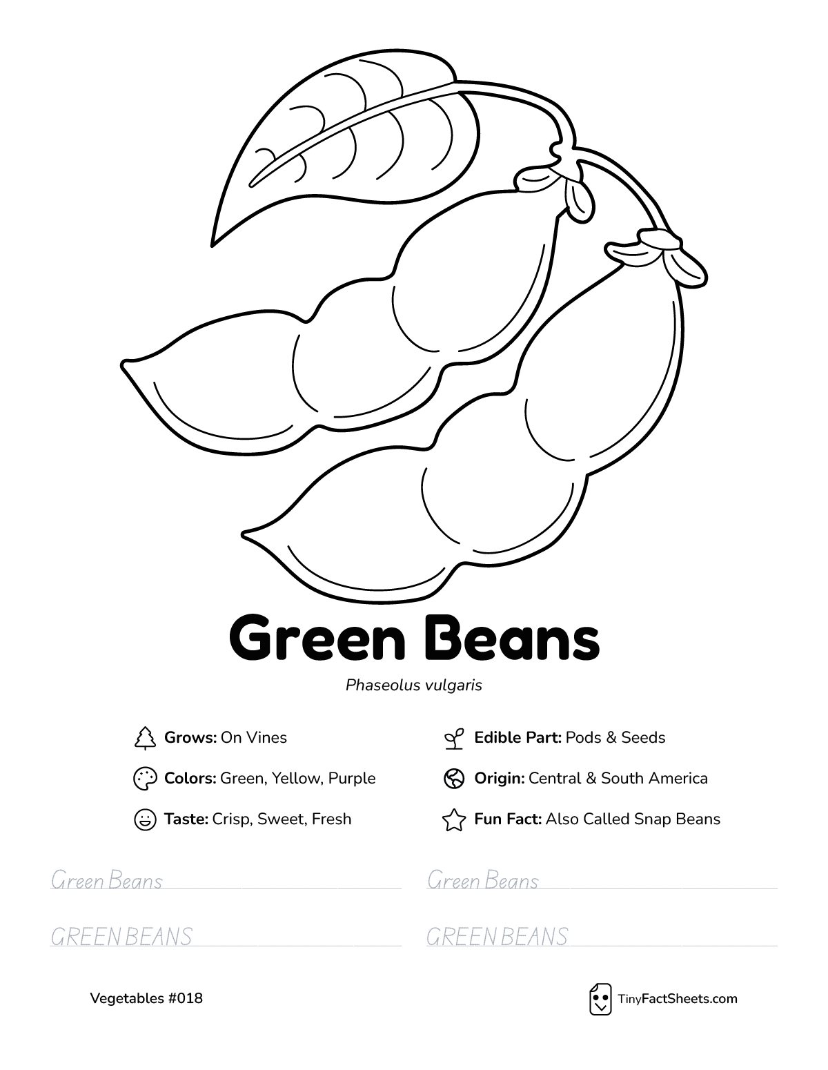 green vegetable worksheet with coloring page, facts, and tracing practice
