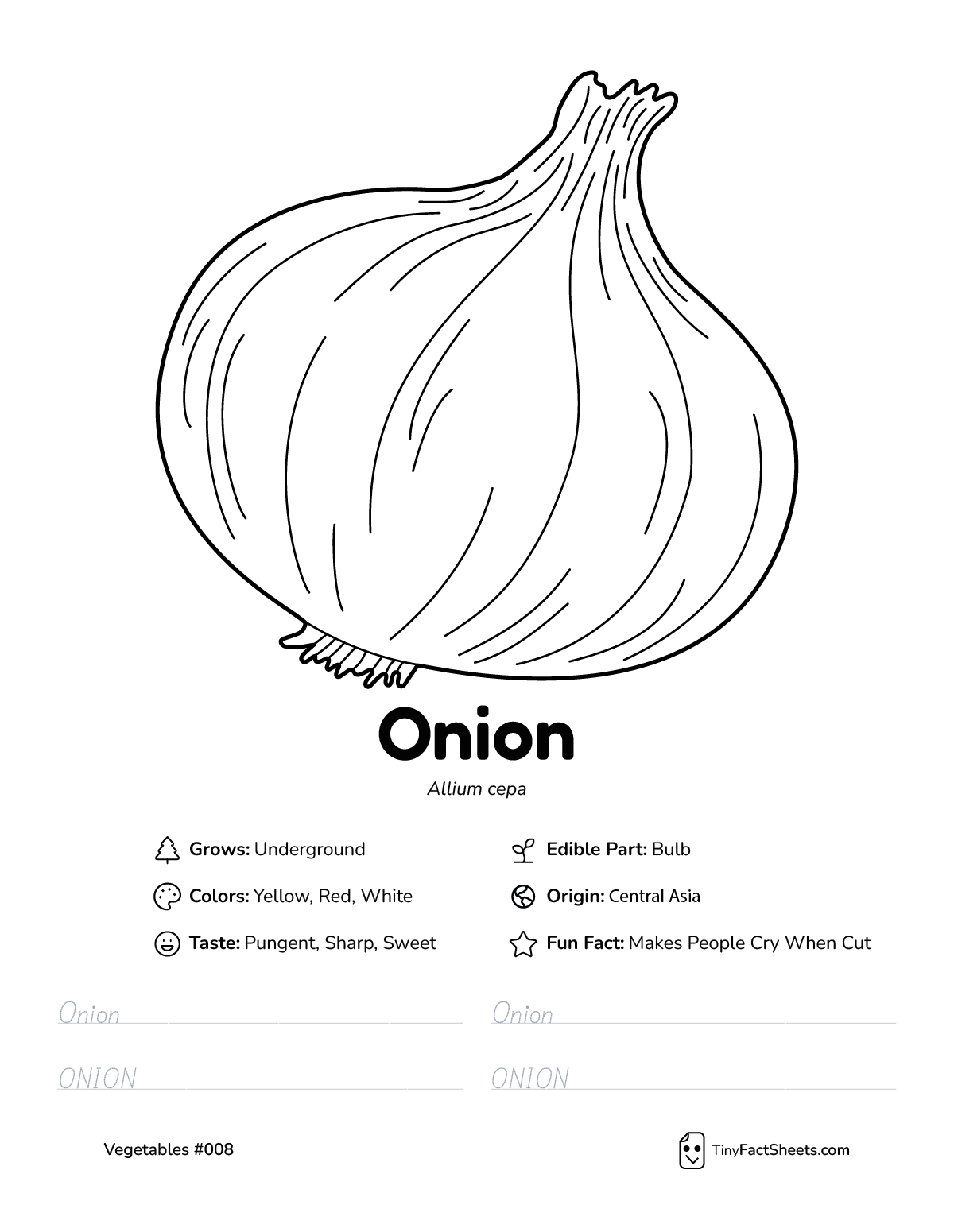 onion vegetable worksheet with coloring page, facts, and tracing practice