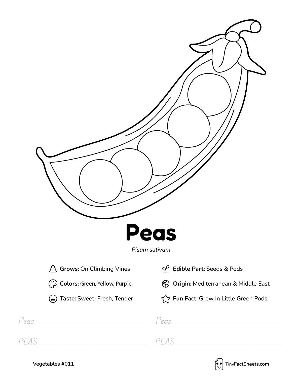 peas vegetable worksheet with coloring page, facts, and tracing practice