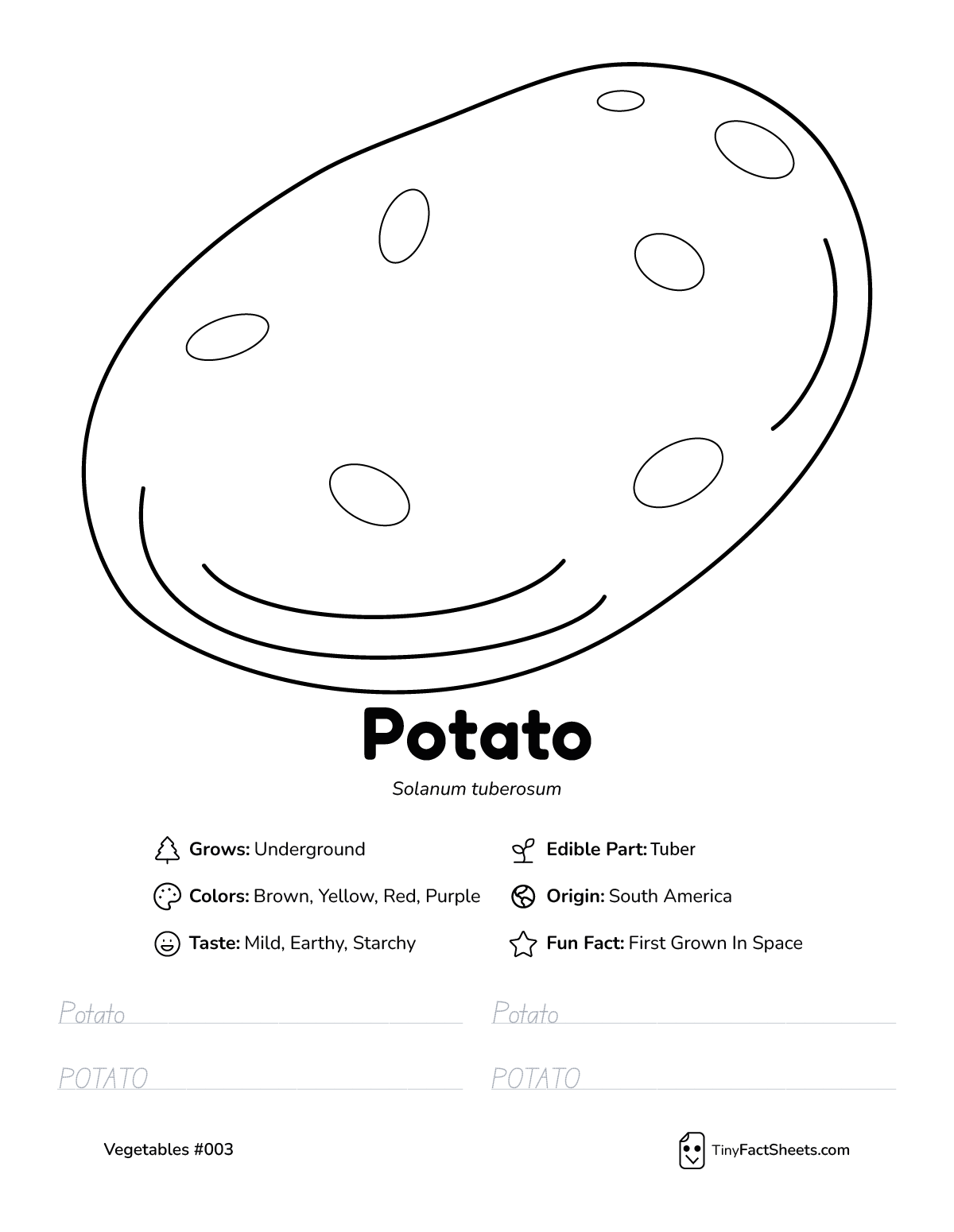 potato vegetable worksheet with coloring page, facts, and tracing practice