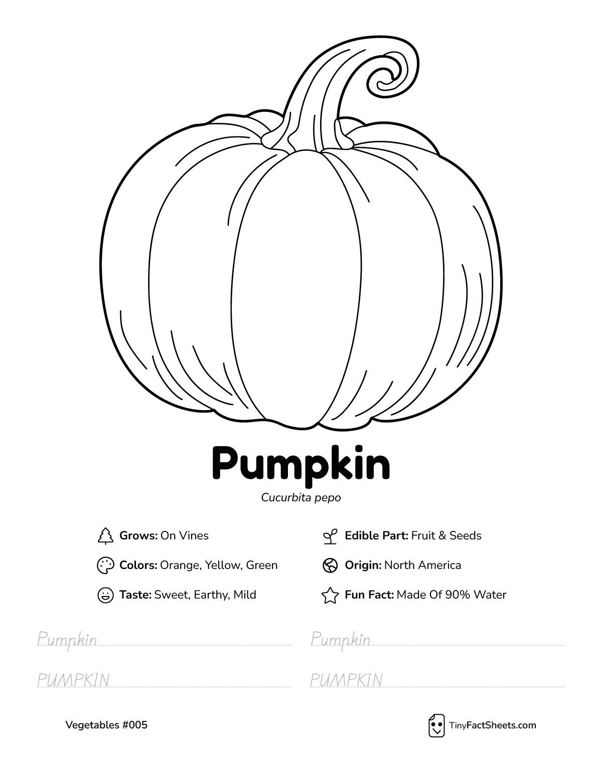 pumpkin vegetable worksheet with coloring page, facts, and tracing practice