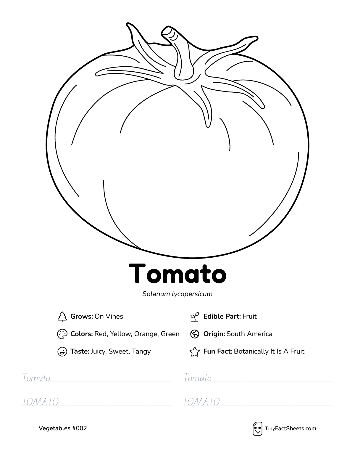 tomato vegetable worksheet with coloring page, facts, and tracing practice